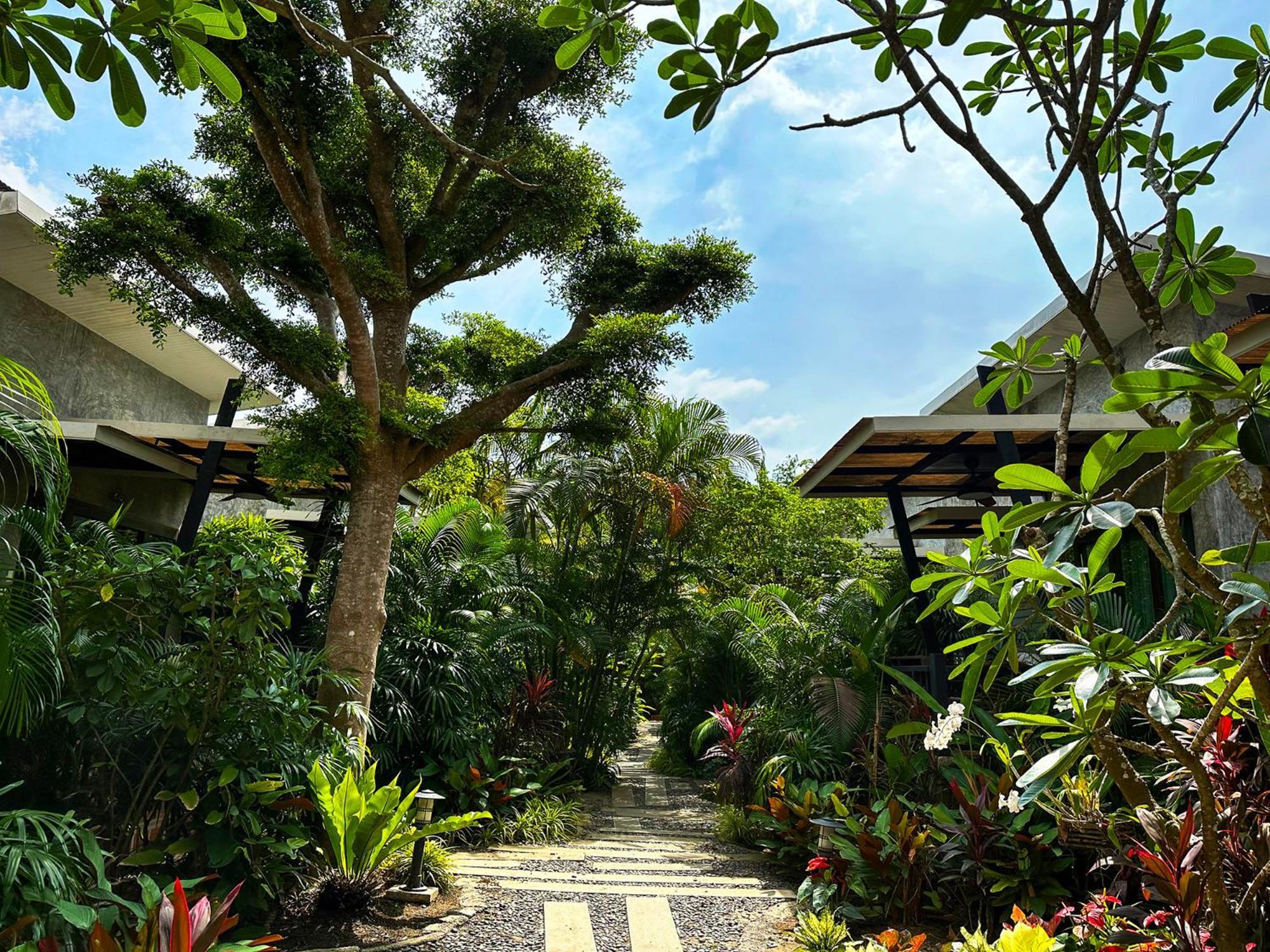 Dreamville Koh Phangan Thongsala Ngoại thất bức ảnh