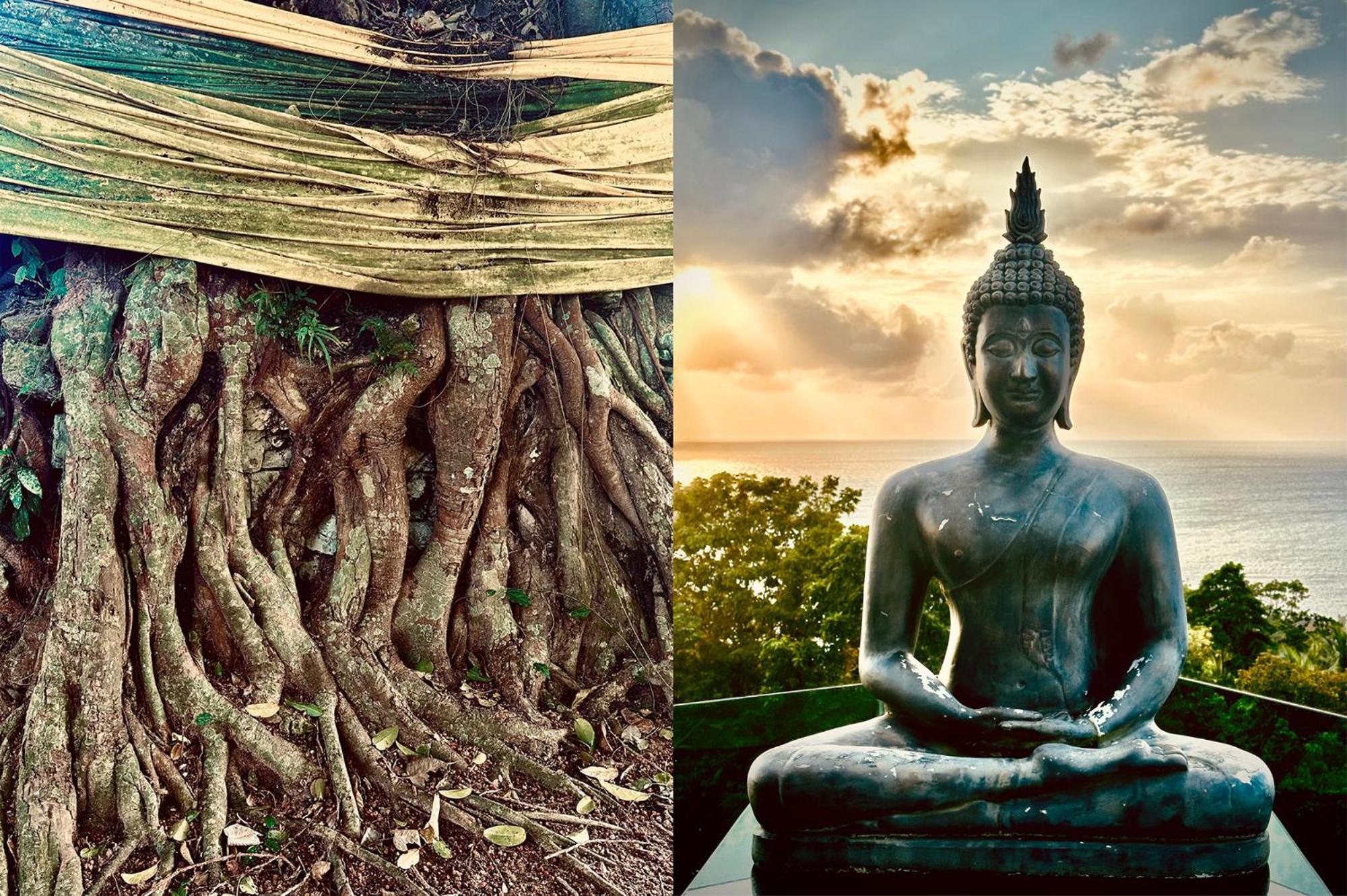 Dreamville Koh Phangan Thongsala Ngoại thất bức ảnh