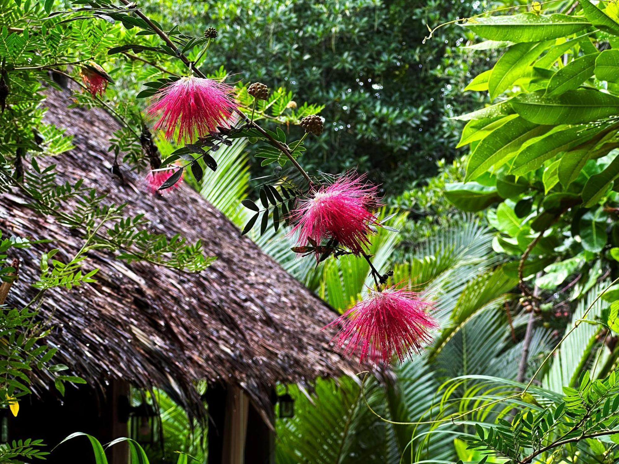 Dreamville Koh Phangan Thongsala Ngoại thất bức ảnh