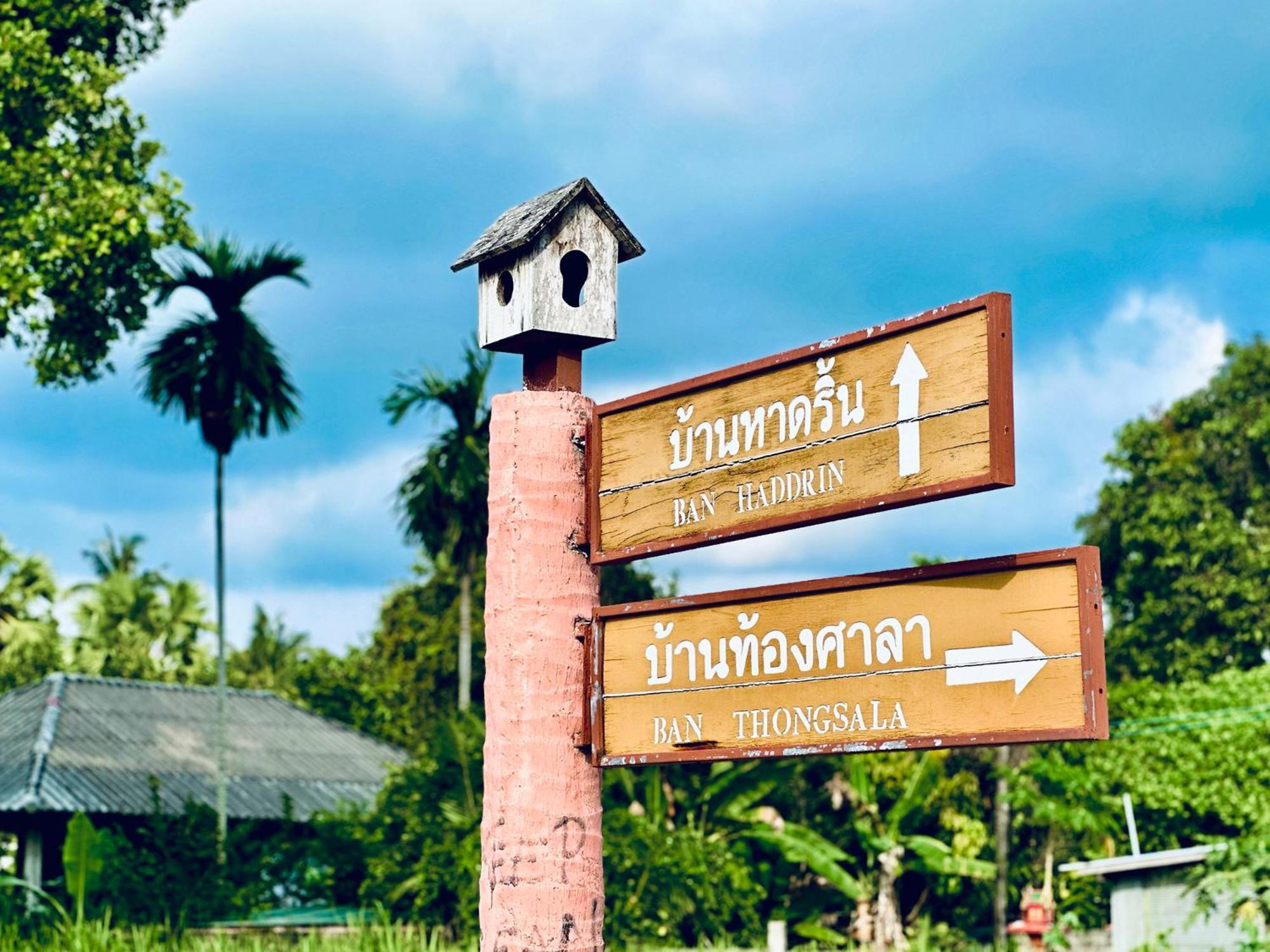 Dreamville Koh Phangan Thongsala Ngoại thất bức ảnh